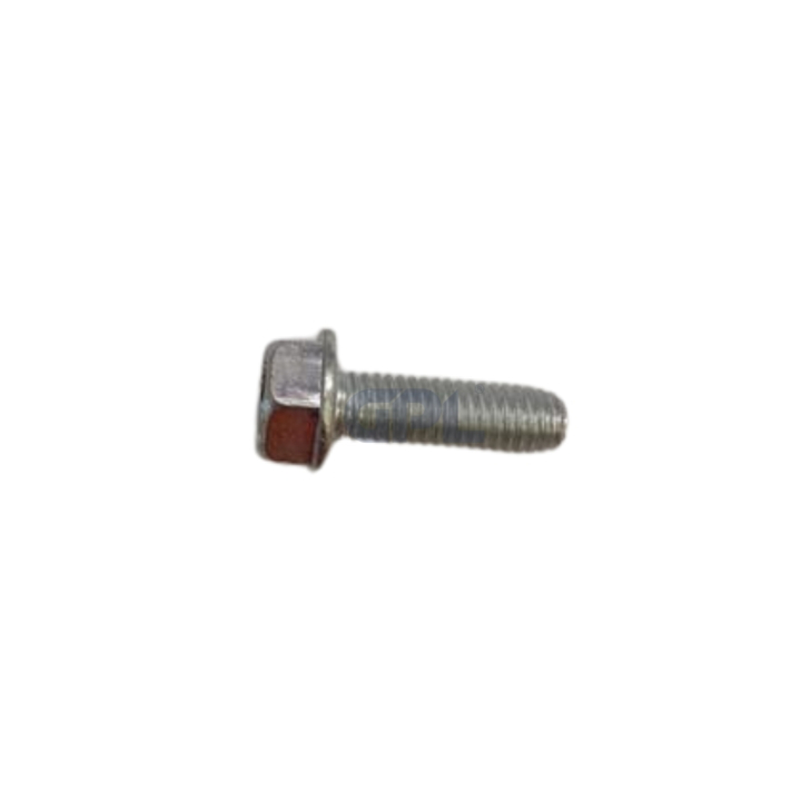Schrauben in der Gruppe  bei GPLSHOP (7252329-61)