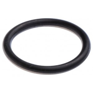 O-Ring in der Gruppe bei GPLSHOP (7404210-00)