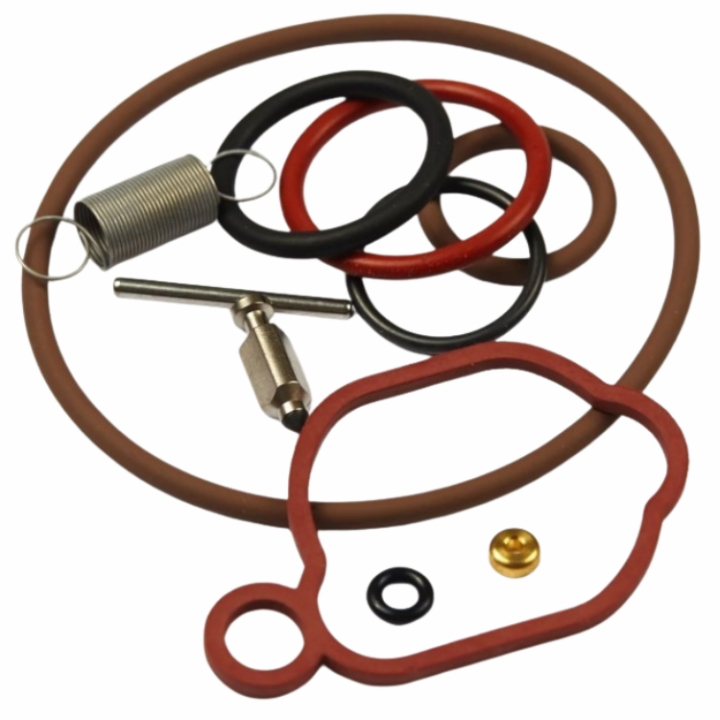 Rep. Kit Vergaser in der Gruppe Ersatzteile / Briggs & Stratton Ersatzteile bei GPLSHOP (84013065)