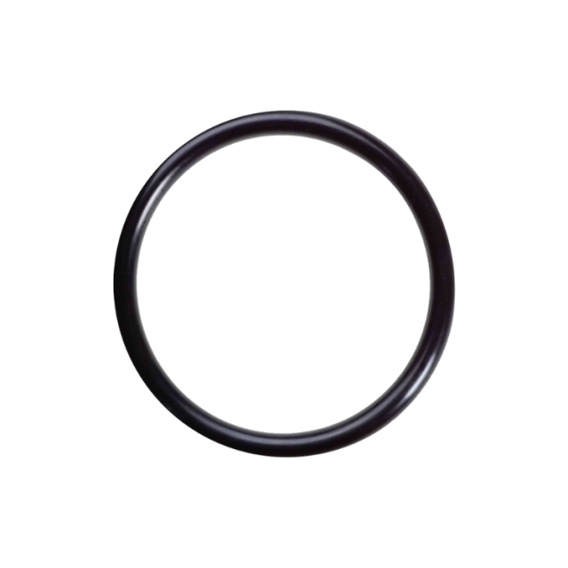 O-Ring 2956817-01