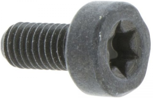 Schraube Torx D10, M5X10,5 5032153-10