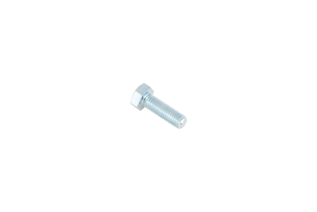 Bolzen 5051696-01