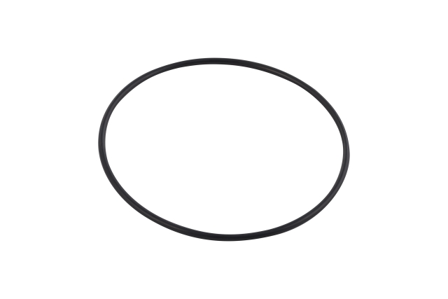 O-Ring 5051798-01