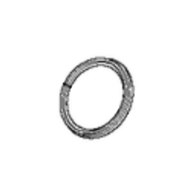 Dichtungsring