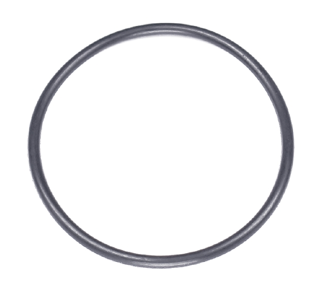 O-Ring 48,9X2,62 5203417-01