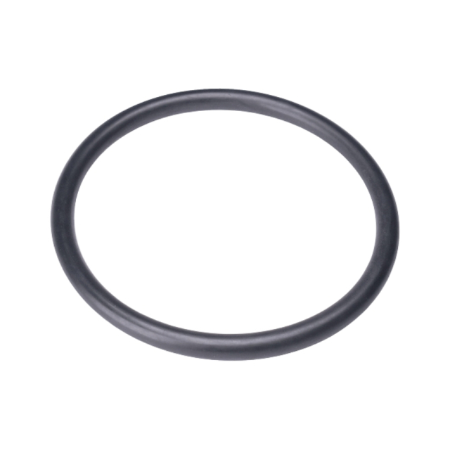 O-Ring 50X4 5203536-01