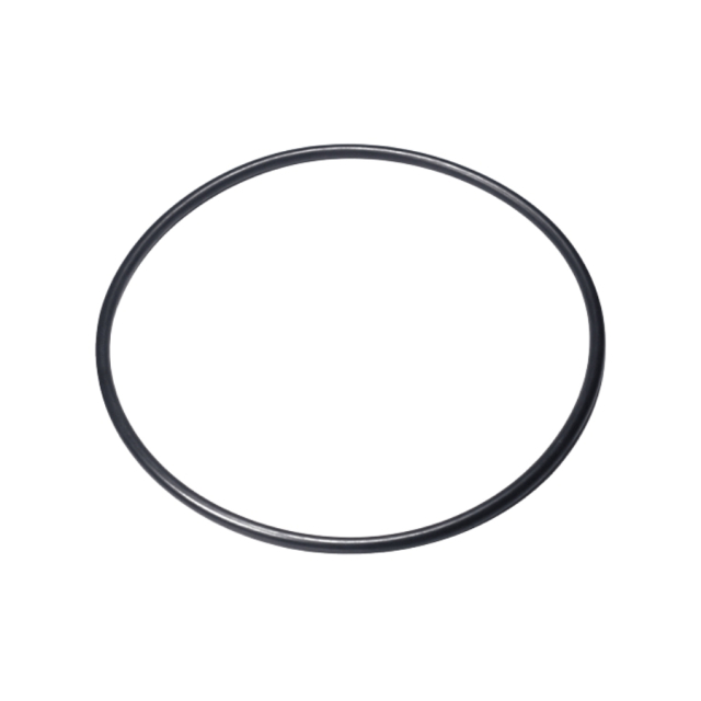 O-Ring 5203608-01