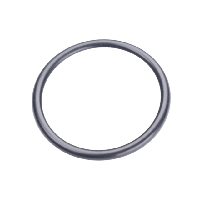 O-Ring 21,5X1,5 5203999-01