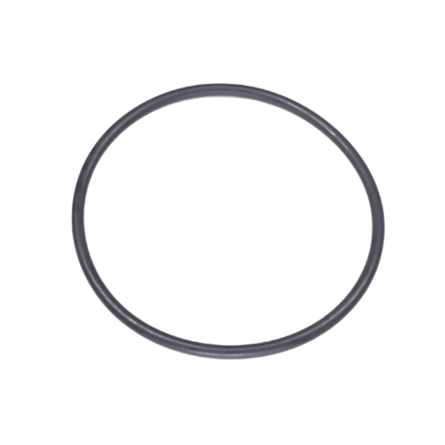 O-Ring 5204243-01