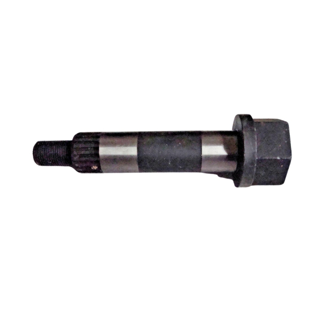 Schulter 5258360-01