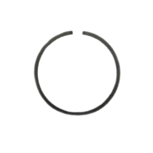 Ring, Kolben 5292510-01