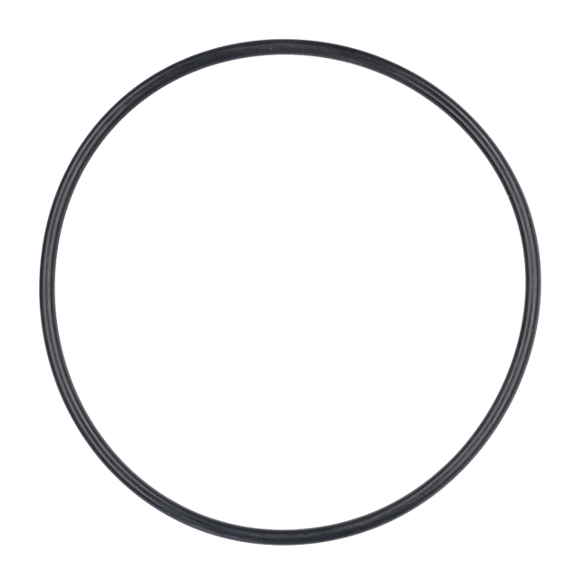 O-Ring 95x3,1