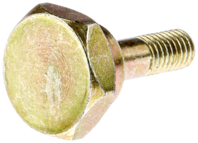 Schraube (Bruch-)