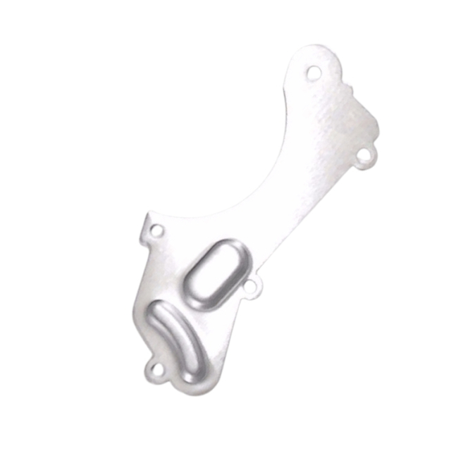 Bremsplatte abdecken 5366290-01