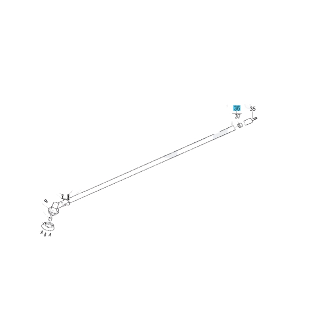 Schulter 5382272-33