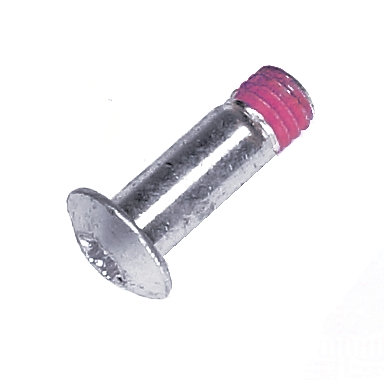 Schraube in der Gruppe  bei GPLSHOP (5742370-01)