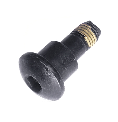 Schraube in der Gruppe  bei GPLSHOP (5855584-01)