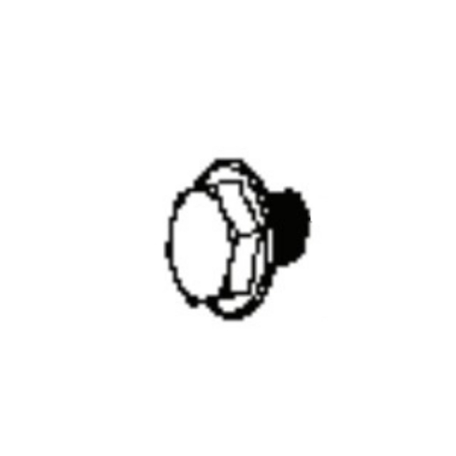 Bolzen 5899091-01