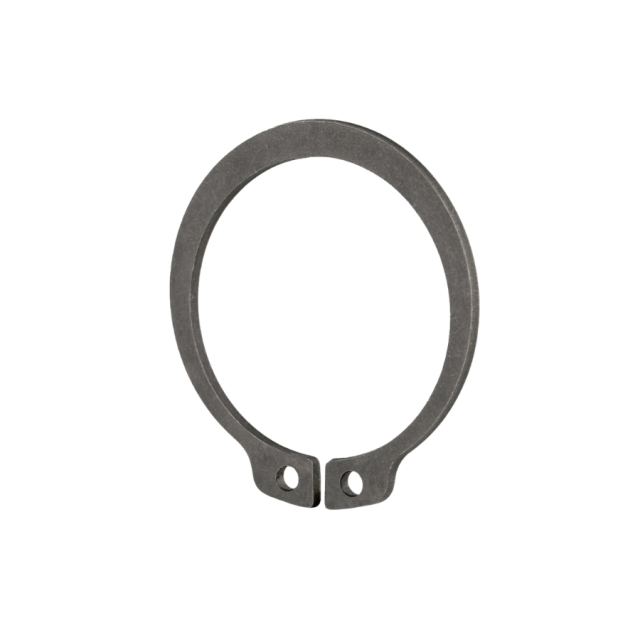 Sicherungsring 5900384-01
