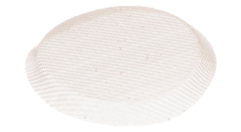 Brennstoffsieb 5016661-01