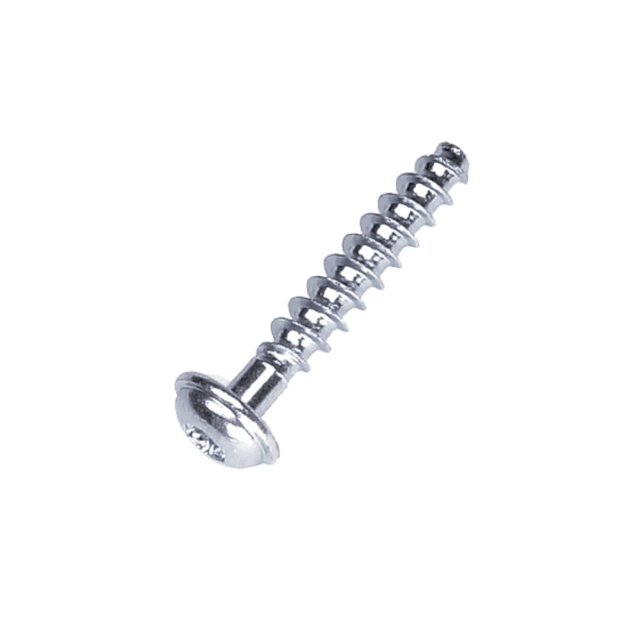 Schraube T50X28 5205247-01