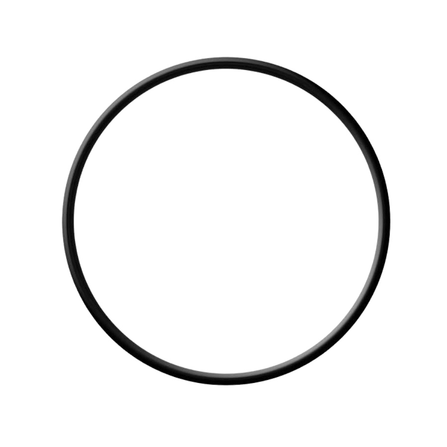 O-Ring 5310296-65