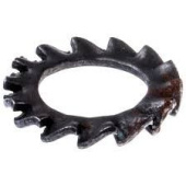 Scheibe 5312079-81 Scheibe 5312079-81