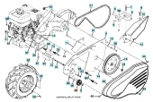 Rolle 5321046-79 Rolle 5321046-79