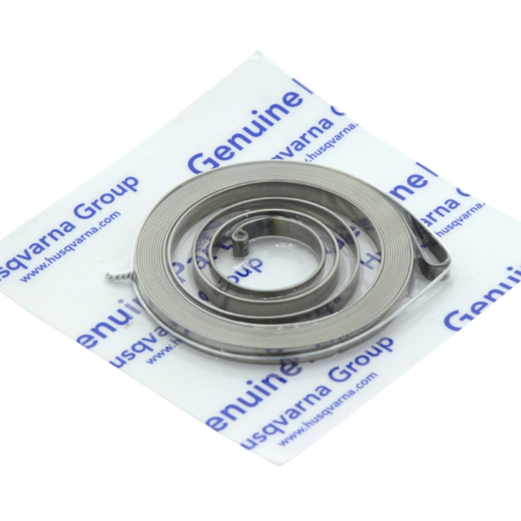 Frühling Beginnen 5372836-02