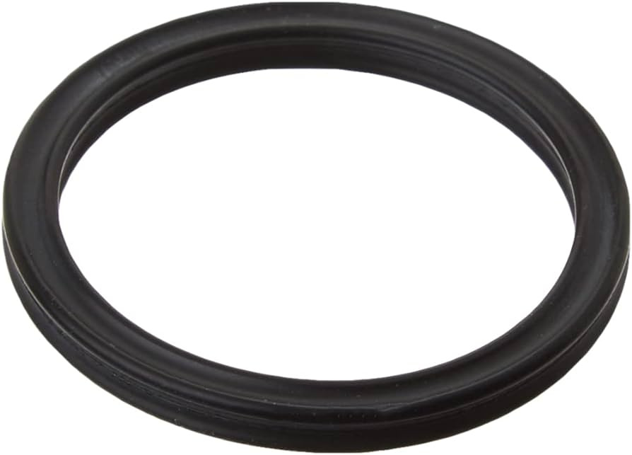 Dichtring .924Idx.10