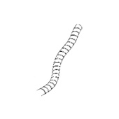 Schlauchschutz Schlauchschutz