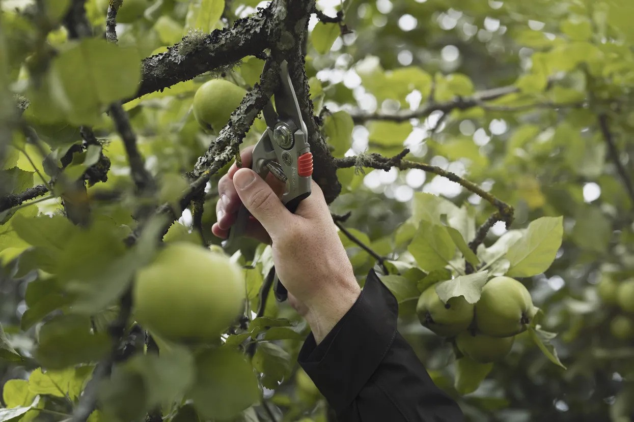 Husqvarna Gartenschere Alu HS24