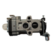 Vergaser-Baugruppe gz66n Vergaser-Baugruppe gz66n