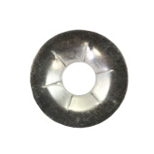 Federscheibe Federscheibe