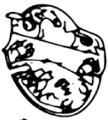 Schaltkasten Unten (Euro 5746268-01 Schaltkasten Unten (Euro 5746268-01