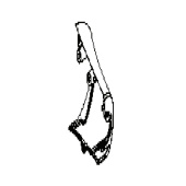 Kegel 5748107-02 Kegel 5748107-02