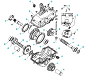 Schulter 5803144-01 Schulter 5803144-01