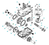 Schulter 5803146-01 Schulter 5803146-01