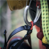 Helm Arborist, Spire Vent Helm Arborist, Spire Vent