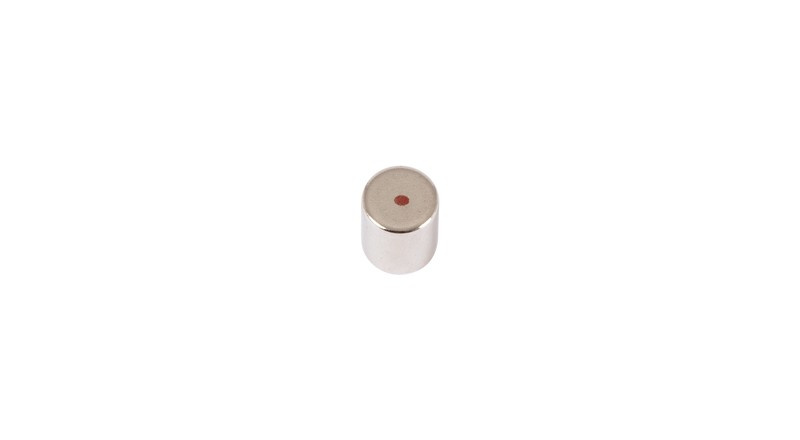 Magnet Neodym L=10