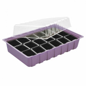 Gewächshaus  Gewächshaus