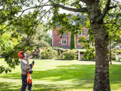 Husqvarna 525LK Rasentrimmer + TA850 & T35 Husqvarna 525LK Rasentrimmer + TA850 & T35