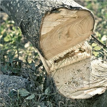 Husqvarna 530iP4 Hochentaster