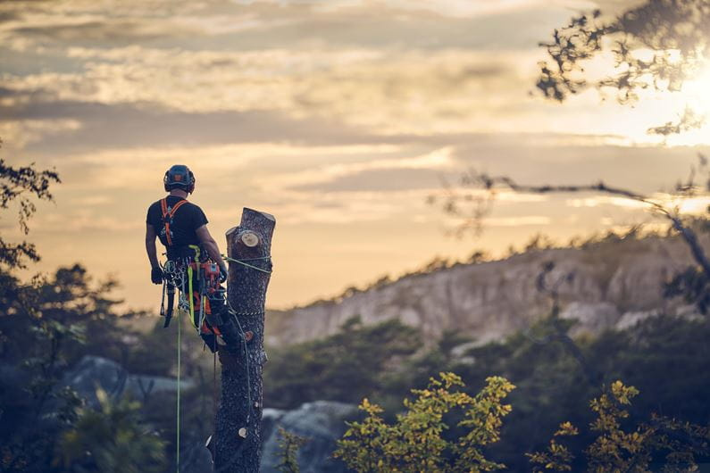 Husqvarna T540 XP® Mark III Motorsäge