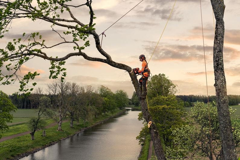 Husqvarna T540 XP® Mark III Motorsäge