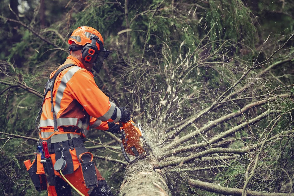 Husqvarna 564 XP G Fuel Inject Startpaket